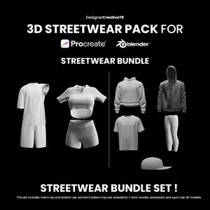 3D Streetwear Pack, 3D Model Bundle, 3D T-shirt, 3D Procreate, Procreate Model, 3D Wear, 3D Sweatshirt, 3D Hoodie, 3D Clothes, 3D Model