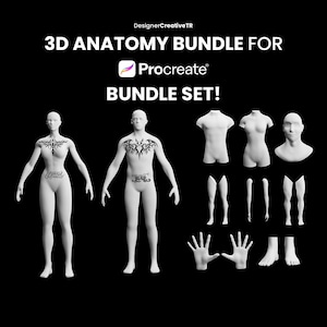 Procreate 3D Models Bundle, 3D Man model, 3D arm model, 3D leg model, 3D torso, Procreate 3D human body, Model tattoo, Tattoo mockup
