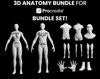Procreate 3D Models Bundle, 3D Man model, 3D arm model, 3D leg model, 3D torso, Procreate 3D human body, Model tattoo, Tattoo mockup