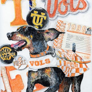 Tennessee Vols Original Buntstift Kunstdruck, gerolltes Poster, Wand Kunst, Wohnheim Zimmer Poster, Sport Fan Geschenk, Spieltag Kunst, Büro