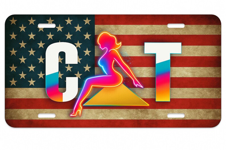 K&ouml;nnte beinhalten: Rechteckiges Nummernschild mit amerikanischer Flagge im Hintergrund. Es zeigt eine Neon-Frauenfigur und die Buchstaben "GT". Die Buchstaben und die Figur haben einen Farbverlauf mit Blau-, Rosa- und Gelbt&ouml;nen.
