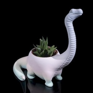 Könnte beinhalten: Ein weißer Keramik-Dinosaurier-Pflanztopf mit einer grünen Sukkulentenpflanze im Inneren. Der Topf ist ombre, von weiß zu hellblau verblassend. Der Dinosaurier hat einen langen Hals und einen kleinen Kopf.