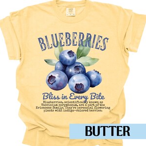 Blueberries Retro 90s Tee Shirt Comfort Colors Vacation Vibes Retro Graphic Tee Blueberry Festival Retro Commercial TShirt Fruity Shirt
