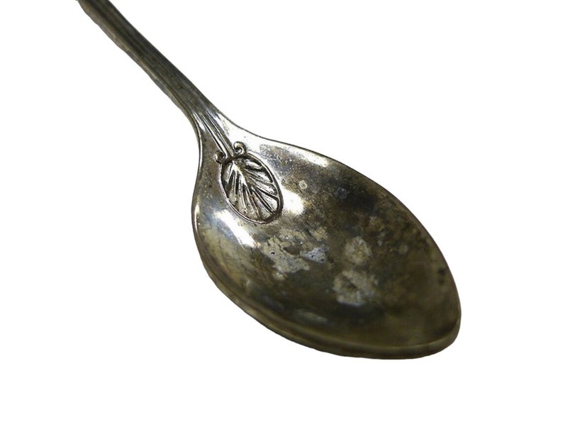 antique Rose design porcelain souvenir collectible spoon / teaspoon image 4