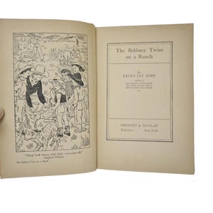 The Bobbsey Twins books by Laura Lee Hope