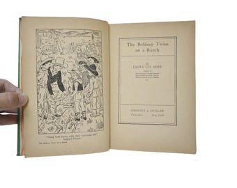 The Bobbsey Twins books by Laura Lee Hope
