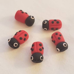 May include: Five red and black ladybug shaped clay beads. The beads are about 1 inch long and have black spots and eyes.