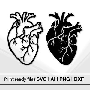 Patrón de corazón anatómicamente correcto SVG / Diseño de corazón SVG Archivo / Plantilla de corte láser / Patrón de manualidades DIY / Arte de silueta / Plantilla de decoración del hogar