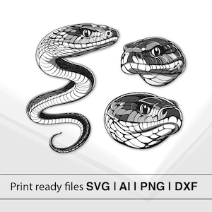 Bundel met slangenontwerp | Direct downloaden | Slang-SVG | Slangenkop SVG | Reptielenkunst | Vectorillustratie | Afdrukbare slang | Gesneden SVG-bestand