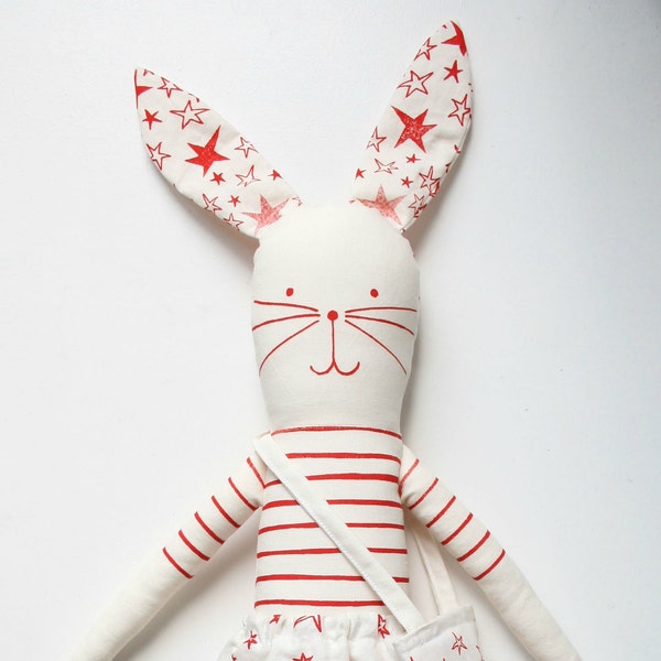 Make your own Rabbit kit RED