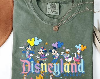 Disneyland Resort Comfort Colors Shirt, Retro Disneyland Parks Shirt, Magic Kingdom Shirt, Disneyworld Shirts, Disney Family Shirts