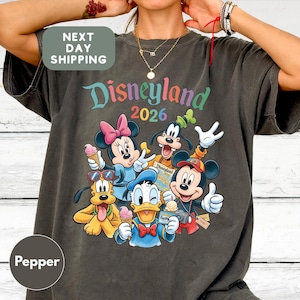A person wearing a gray t-shirt with a colorful graphic of Disney characters from the theme park.