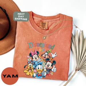 a pink t-shirt with a Disney-themed graphic of Mickey Mouse, Donald Duck, Goofy, and other Disney characters, along with a green tag and a brown hat.
