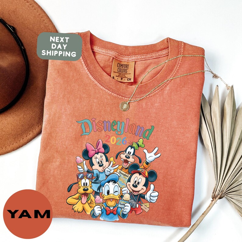 a pink t-shirt with a Disney-themed graphic of Mickey Mouse, Donald Duck, Goofy, and other Disney characters, along with a green tag and a brown hat.