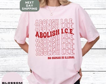 Comfort Colors Abolish Ice No Human is Illegal Shirt, Ice Protest Shirt, Anti Ice Shirt, Anti ICE Pro Immigrant Tee, Social Justice Shirt