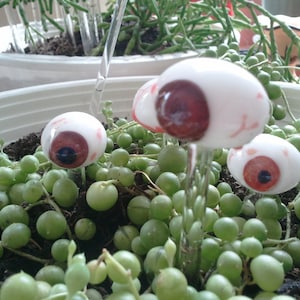 One Hand Sculpted Brown Glass Eye Ball Plant Stick Created by Jenn Goodale,