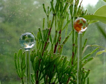 Hand Sculpted Glass Plant Stick Decor Hand Created by Jenn Goodale