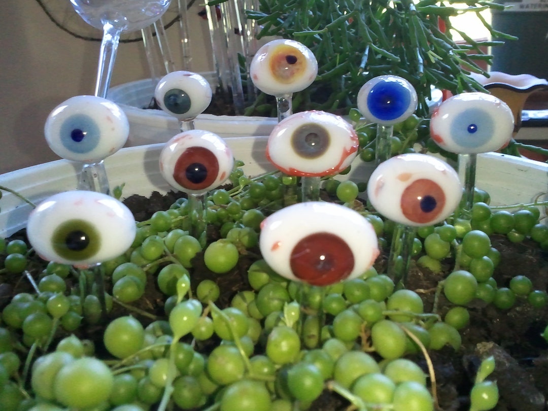 Blue Eye Ball Plant Stick Hand Created by Jenn Goodale Etsy
