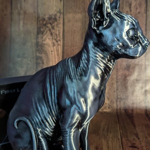 Op de afbeelding: Een zwart, 3D-geprint beeld van een haarloze kat die zit met zijn hoofd naar de zijkant gedraaid. Het beeld heeft een glanzende, metalen afwerking.