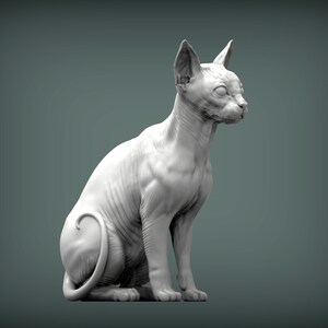 Op de afbeelding: Een wit haarloos kattenbeeld dat zit met zijn staart om zijn poten gewikkeld. Het beeld is gemaakt van glad, wit materiaal en heeft een realistisch uiterlijk.