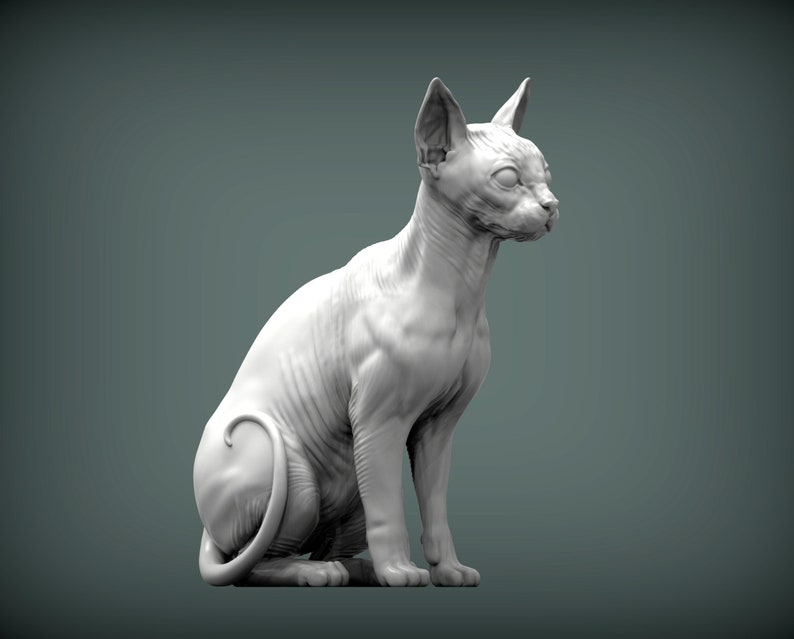 Op de afbeelding: Een wit haarloos kattenbeeld dat zit met zijn staart om zijn poten gewikkeld. Het beeld is gemaakt van glad, wit materiaal en heeft een realistisch uiterlijk.