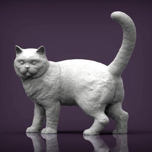 May include: A white, fluffy cat figurine with a curled tail. The cat is standing with its head tilted slightly to the side, and its eyes are closed. The figurine is made of a smooth, white material and has a realistic appearance.