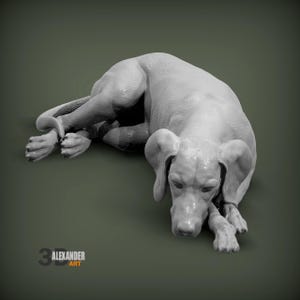 Hungarian Vizsla sleeping Figurine - 3D Printed For Dog Lovers, ornament, Memorial, Gift