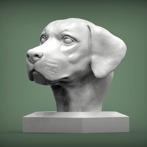 3D Printed Labrador Retriever Bust: Aged Metal Pet Memorial