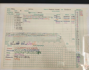Custom Cricket Scorecard: Full Ball-by-Ball Detail, Single-Colour Edition