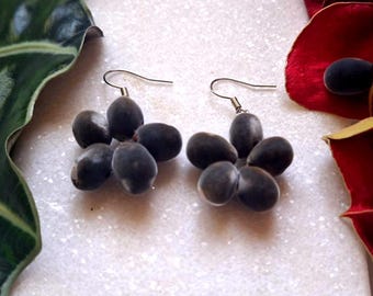 May include: A pair of earrings made from dark gray seed pods, each pod is shaped like a flower with five petals. The earrings are hanging from silver hooks.