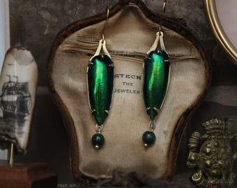 Beetle Wing  Elytra Earrings Faux Malachite Beads Hand Cut Brass Settings