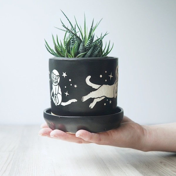 Space Cats Planter - plant pot with drainage + saucer