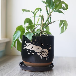 May include: Black ceramic plant pot with a dog astronaut design, stars, and a crescent moon. The pot sits on a matching saucer and holds a green leafy plant. The pot has a brown rim.
