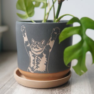 May include: A gray ceramic planter with a brown rim and a saucer. The planter features a raised design of a cat with its arms raised in the air.
