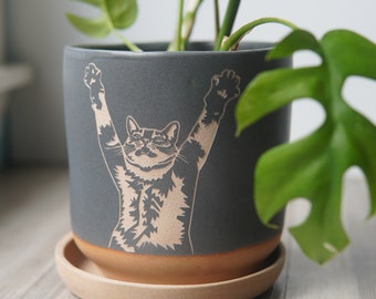 Stretch Cat Planter - Gray 5" plant pot with drainage + saucer