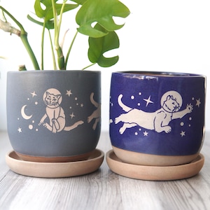 Space Cats Planter - plant pot with drainage + saucer