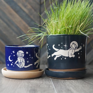 Space Cats Planter - plant pot with drainage + saucer