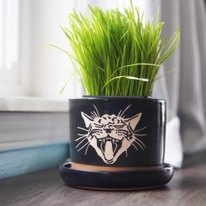 Screaming Cat Planter - plant pot with drainage + saucer