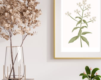 minimalistic white floral nursery digital print