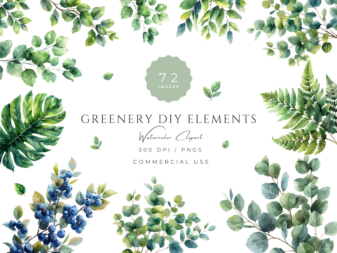 Watercolor Greenery Clipart Set, Eucalyptus Foliage Png for Minimalist ...