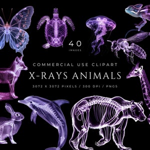Pacote de clipart de animais de raio X roxo Radiologia Tecnologia Animais Ossos Radiologia Moletom DIY Presente Ciência Digital Scrapbook Artesanato PNG Arte peculiar