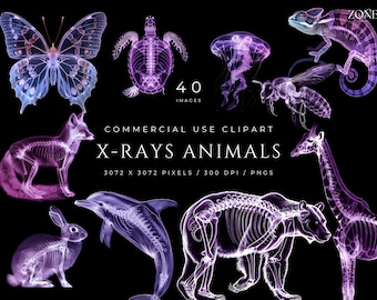 Lila X-Ray Tiere Clipart Pack Radiologie Tech Tiere Knochen Radiologie Sweatshirt DIY Geschenk Digital Science Scrapbook Craft PNG Quirky Art