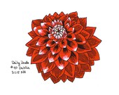 Produkty Podobne Do No40 Dahlia Oryginalna Grafika