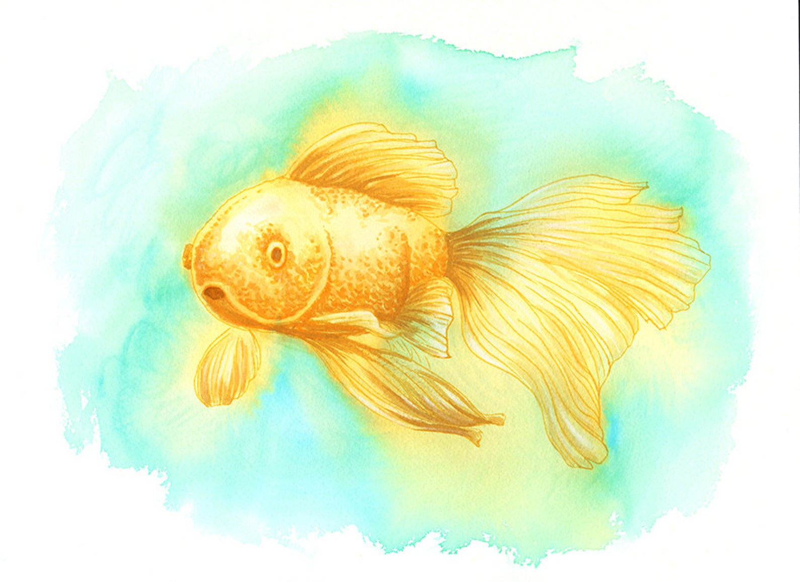 Золотая рыбка желтая
