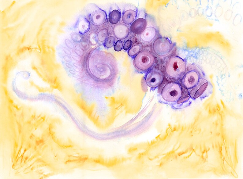 Octopus Calendar 2024 for Octopus Lovers Etsy