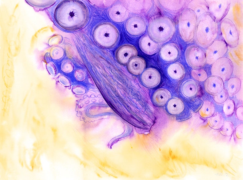 Octopus Calendar 2024 for Octopus Lovers Etsy