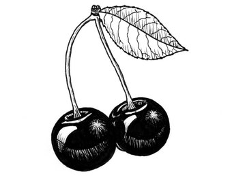 Cherries - Ink Drawing