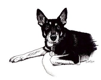 Hondentekening - Dierencommissie - Kelpie Dierenportret
