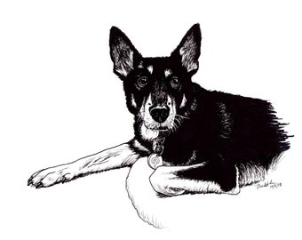 Dog Drawing - Pet Commission - Kelpie Pet Portrait