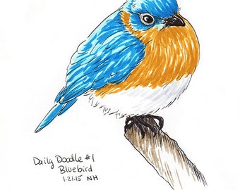 Original Bluebird Drawing Art Print - No.1 Bluebird